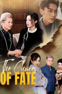 Sisters Divided a Tale of Envy and Betrayed Chinese Drama