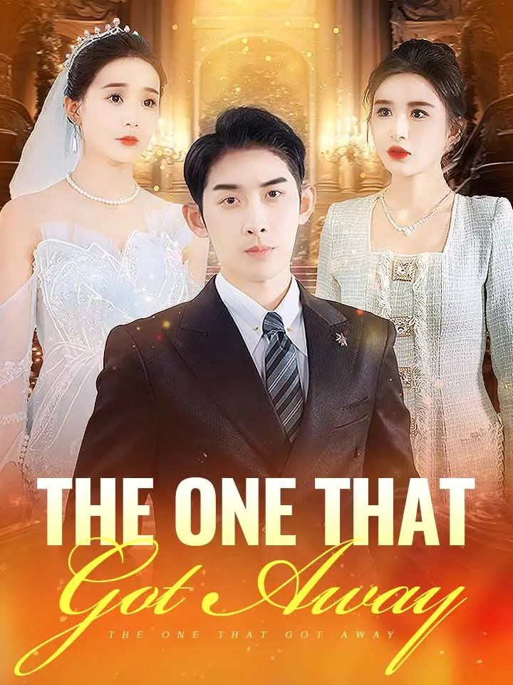 The One that Got Away Chinese Drama