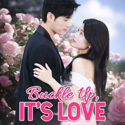 Buckle Up it's Love Chinese Drama